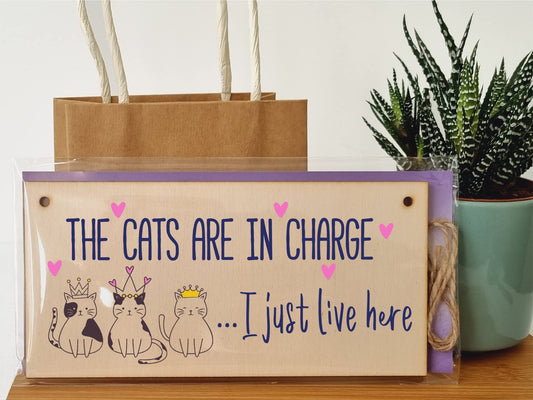The Plum Penguin Handmade Wooden Hanging Wall Plaque Cats in Charge I Just Live Here Funny Gift Pet Lover Cat Mum Dad