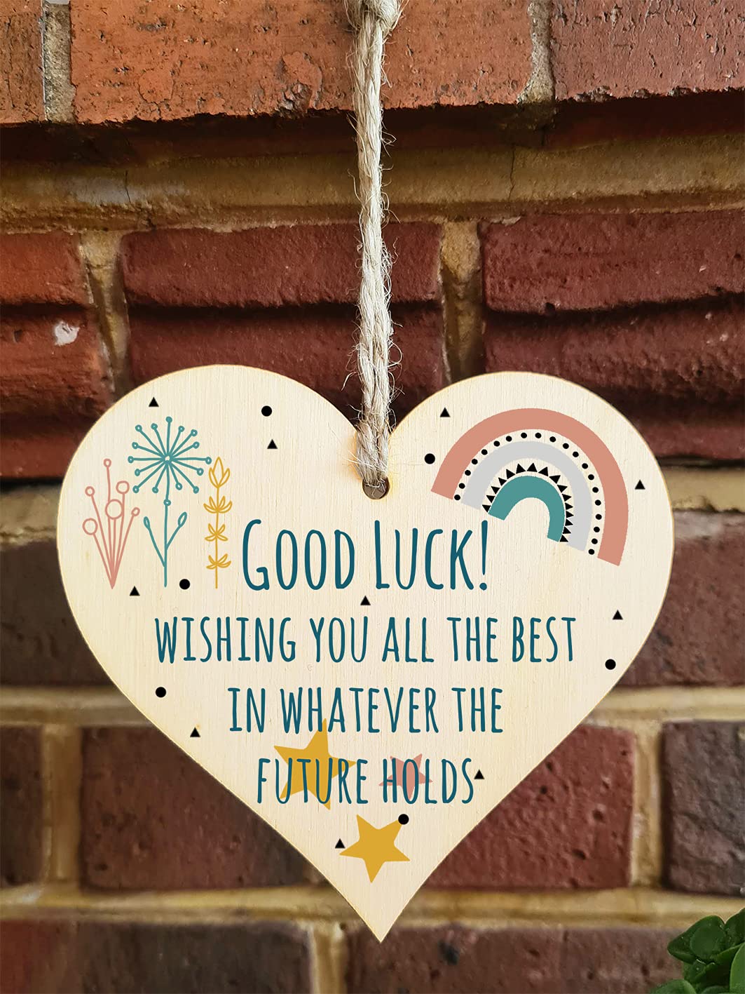 The Plum Penguin Handmade Wooden Hanging Heart Plaque Gift Good Luck Best Future Leaving Retirement Present Colleague Neighbour Card Alternative