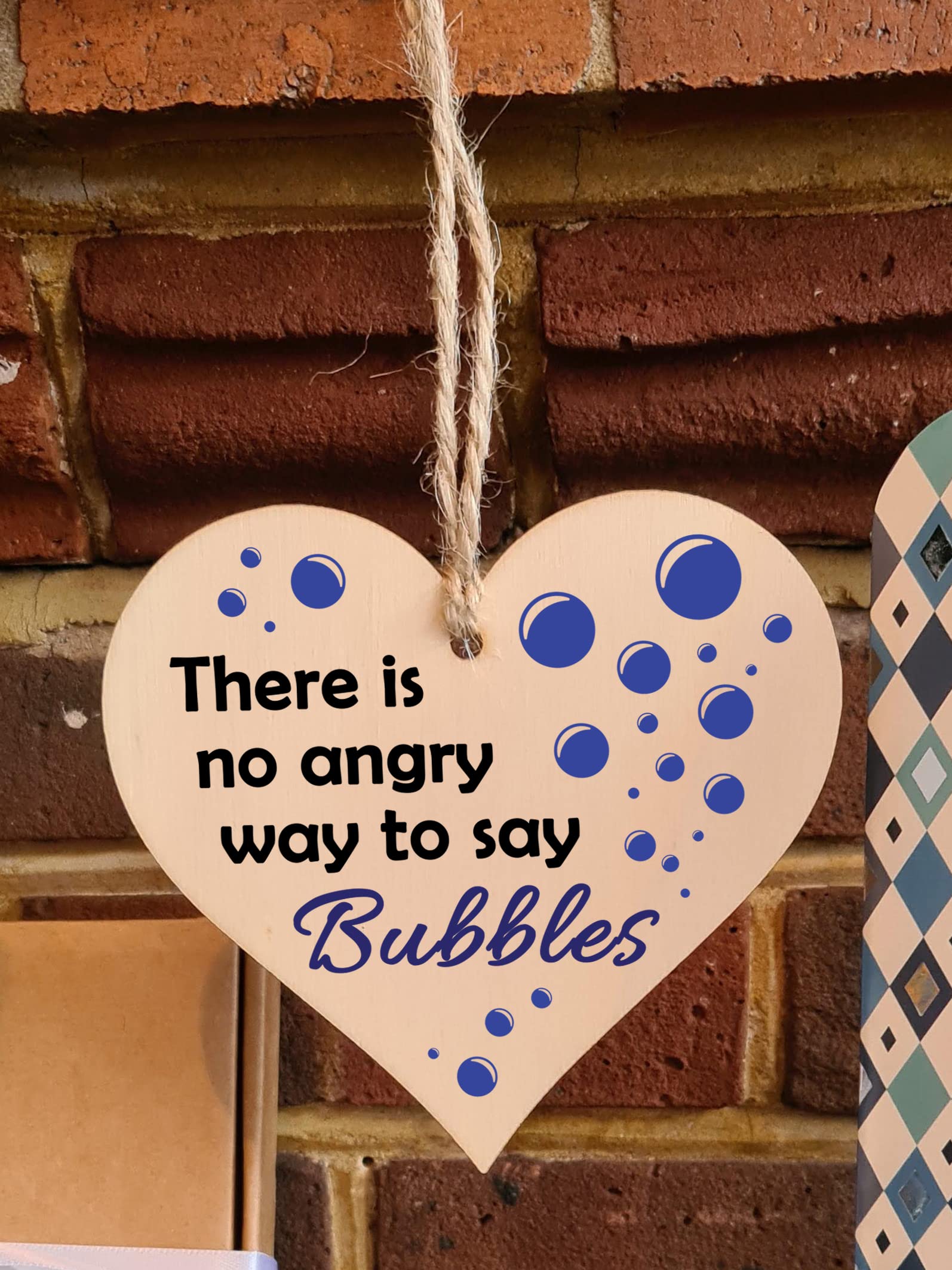 Handmade Wooden Hanging Heart Plaque Gift for Someone Special Funny Self Motivational Treat