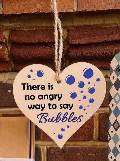 Handmade Wooden Hanging Heart Plaque Gift for Someone Special Funny Self Motivational Treat