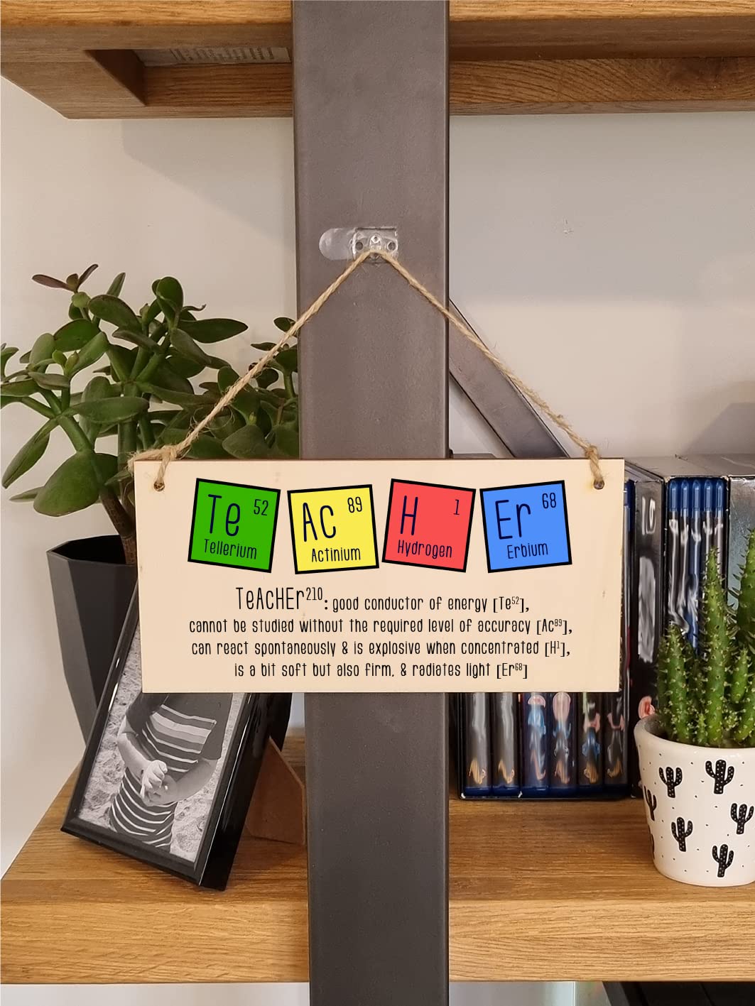 The Plum Penguin Handmade Wooden Hanging Wall Plaque Teacher Symbols Periodic Table Joke Clever End of School Term Gift