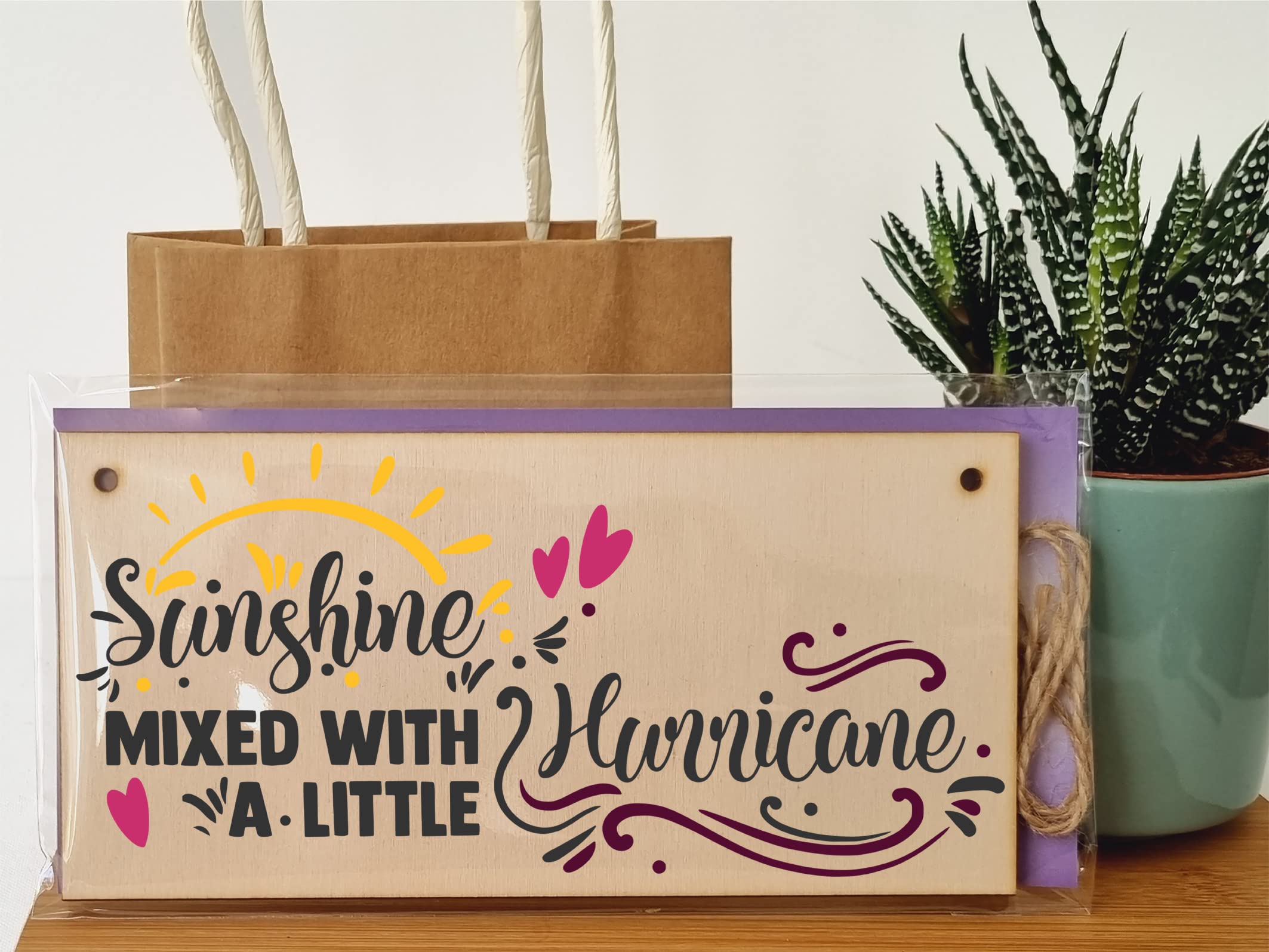The Plum Penguin Handmade Wooden Hanging Wall Plaque Sunshine Mixed with a Little Hurricane Decorative Friendship Gift Sassy Queen