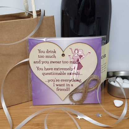 The Plum Penguin Handmade Wooden Hanging Heart Plaque Gift You're everything I want in a friend novelty alcohol funny window wall hanger absent friends friendship keepsake