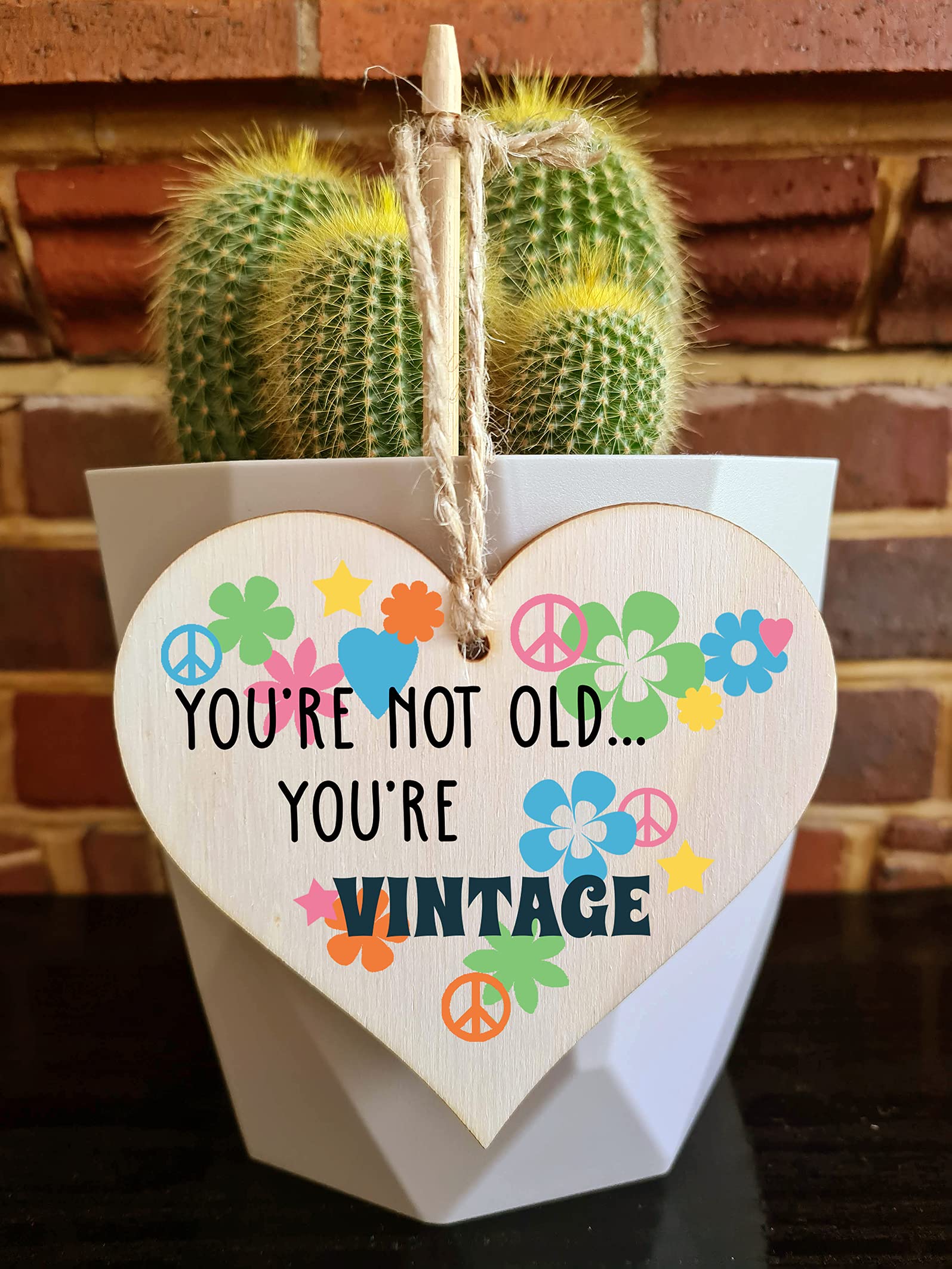 The Plum Penguin Handmade Wooden Hanging Heart Plaque Gift Not Old Vintage 60sFunny Birthday Card Alternative Wall Hanger Bottle Decoration