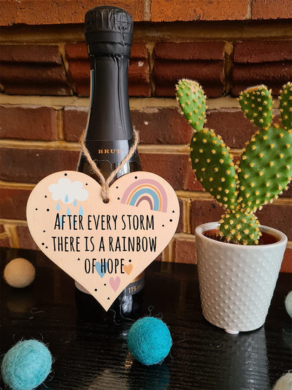 The Plum Penguin Handmade Wooden Hanging Heart Plaque Gift Storm Rainbow of Hope Inspirational Wall Hanger Card Alternative Friendship Family