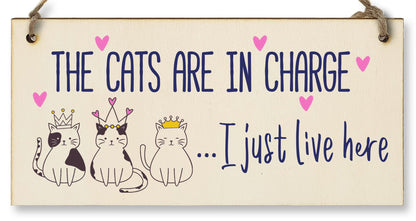 The Plum Penguin Handmade Wooden Hanging Wall Plaque Cats in Charge I Just Live Here Funny Gift Pet Lover Cat Mum Dad