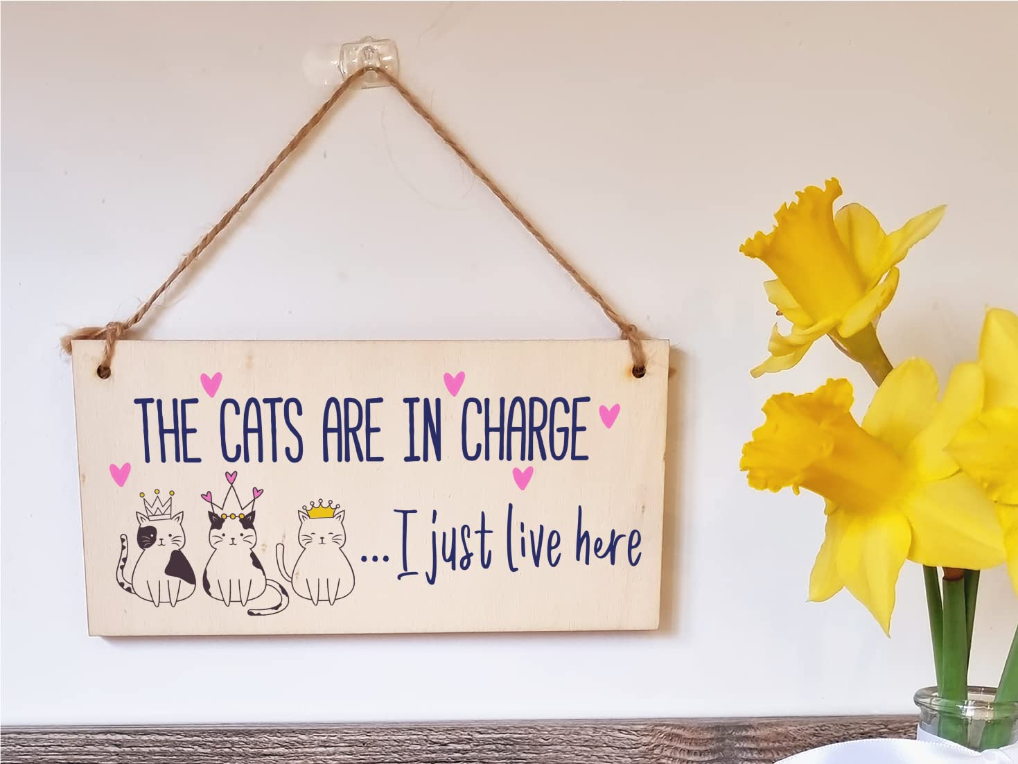 The Plum Penguin Handmade Wooden Hanging Wall Plaque Cats in Charge I Just Live Here Funny Gift Pet Lover Cat Mum Dad