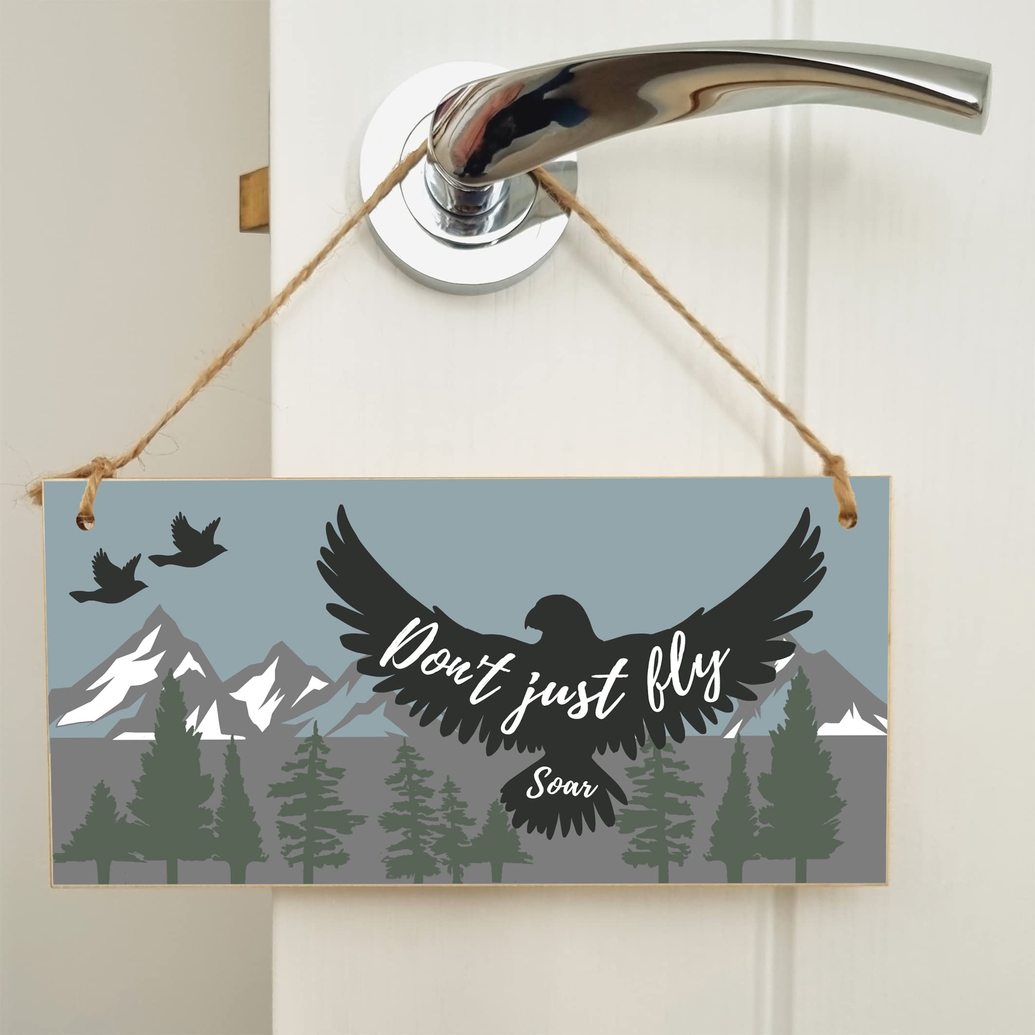 The Plum Penguin Handmade Wooden Hanging Wall Plaque Don't Just Fly Soar Motivational Inspirational Sign for Adventurers