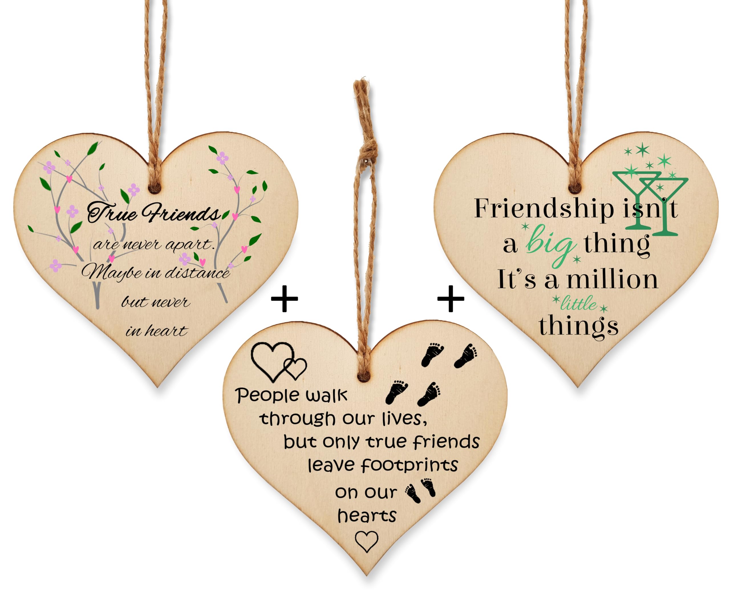 The Plum Penguin Blossoming Bonds Unveiled in Heart Friendship Plaques
