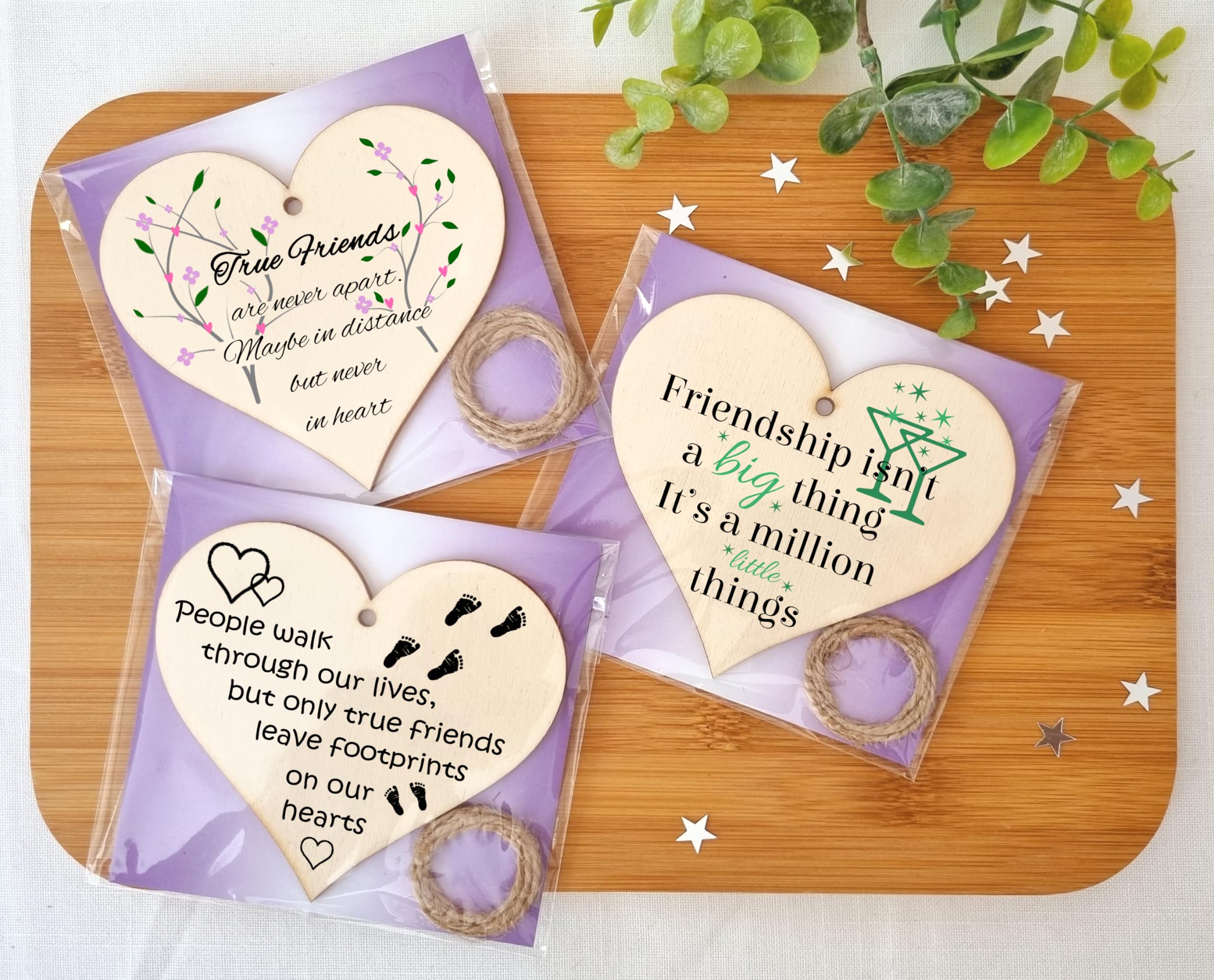 The Plum Penguin Blossoming Bonds Unveiled in Heart Friendship Plaques