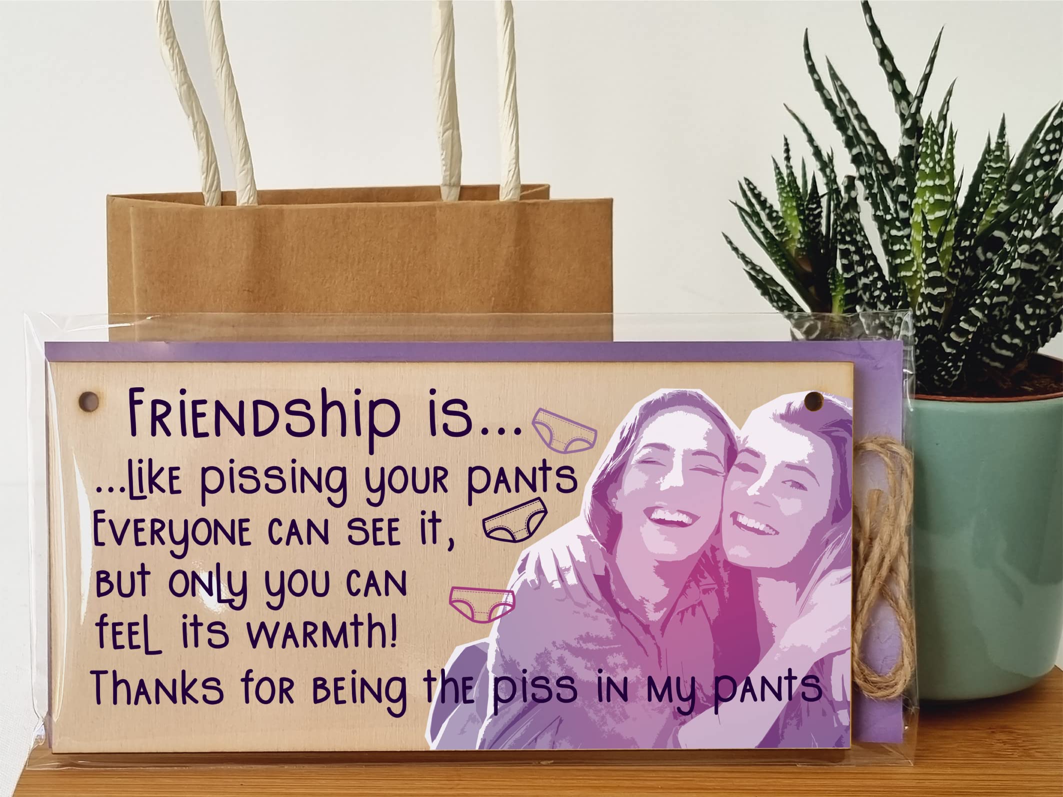 The Plum Penguin Handmade Wooden Hanging Wall Plaque Friendship is Like Pants Feel It's Warmth Funny Joke Rude Gift Sign