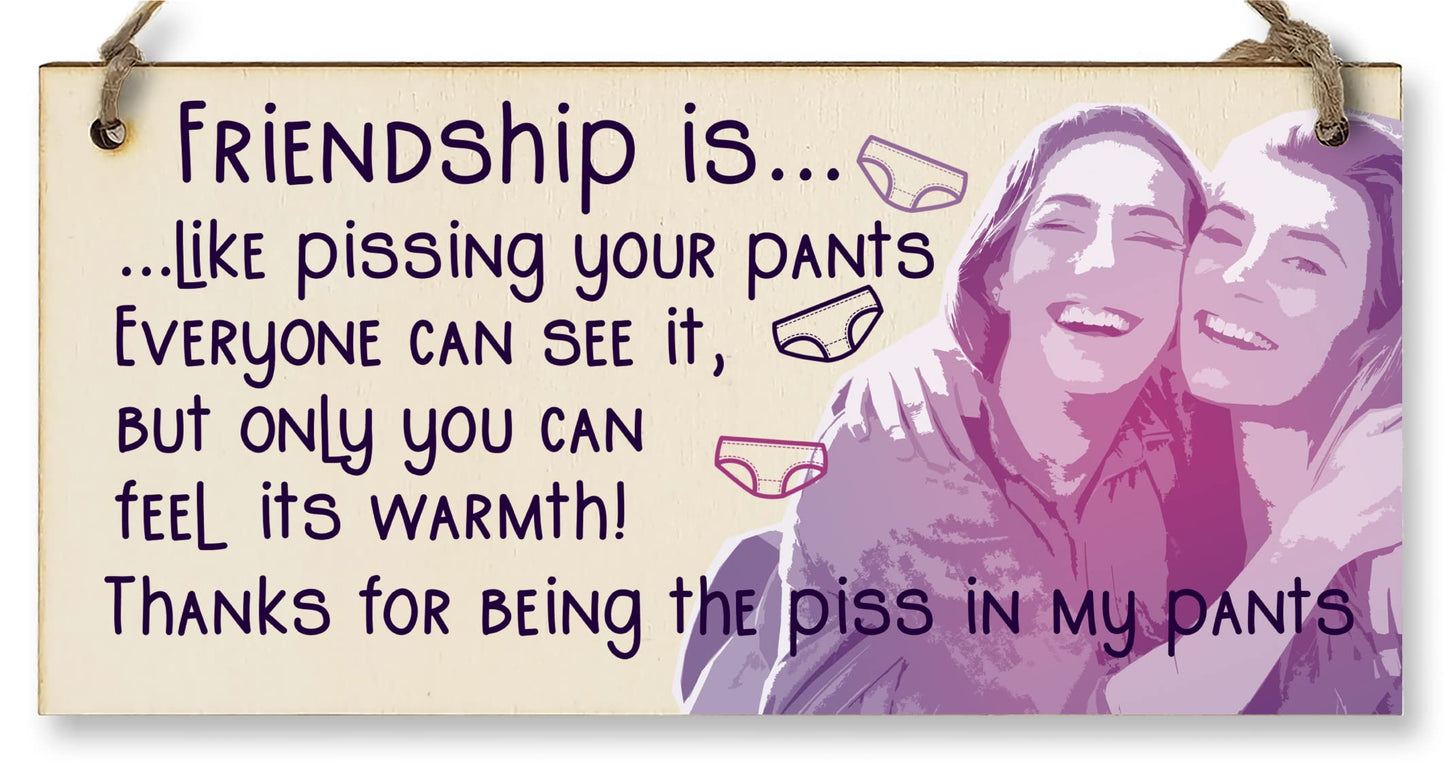 The Plum Penguin Handmade Wooden Hanging Wall Plaque Friendship is Like Pants Feel It's Warmth Funny Joke Rude Gift Sign