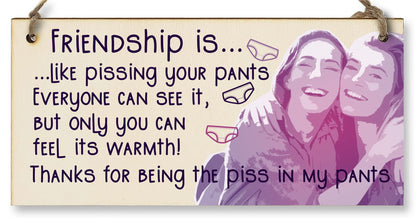 The Plum Penguin Handmade Wooden Hanging Wall Plaque Friendship is Like Pants Feel It's Warmth Funny Joke Rude Gift Sign