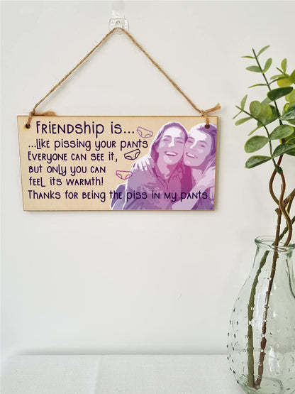 The Plum Penguin Handmade Wooden Hanging Wall Plaque Friendship is Like Pants Feel It's Warmth Funny Joke Rude Gift Sign