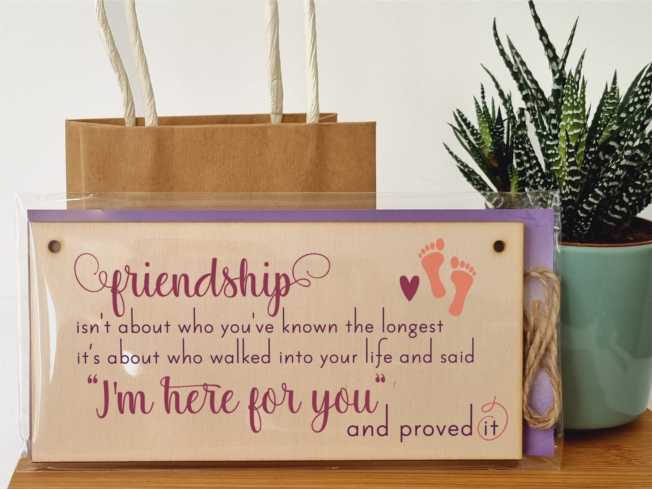 The Plum Penguin Handmade Wooden Hanging Wall Plaque Friendship Isn't Who You've Known Longest Proved It Sentimental Gift Sign