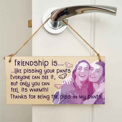 The Plum Penguin Handmade Wooden Hanging Wall Plaque Friendship is Like Pants Feel It's Warmth Funny Joke Rude Gift Sign