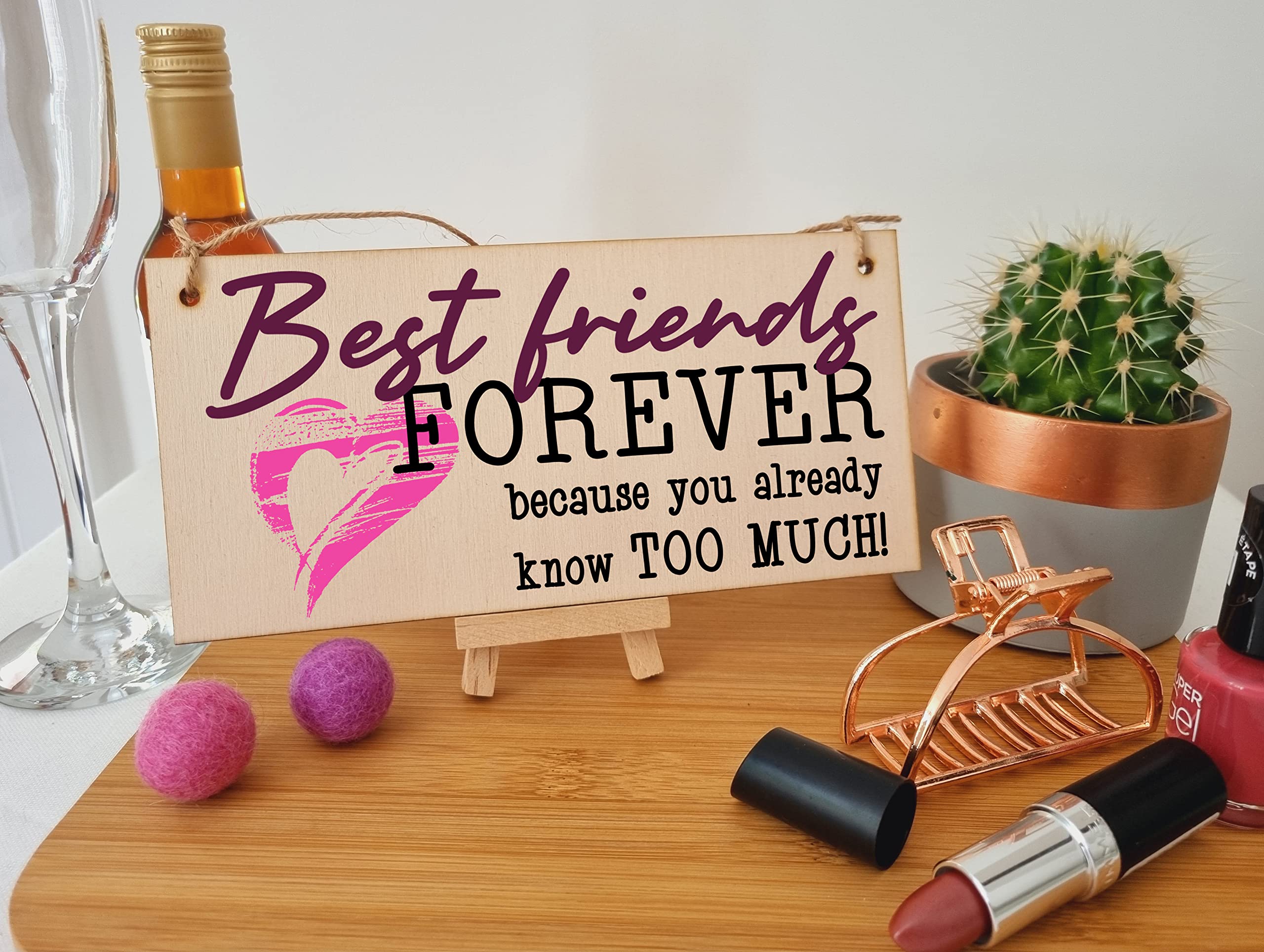 The Plum Penguin Best Friends Forever Know Too Much Funny Handmade Wooden Hanging Wall Plaque Decoration Gift BFF Bestie Friendship