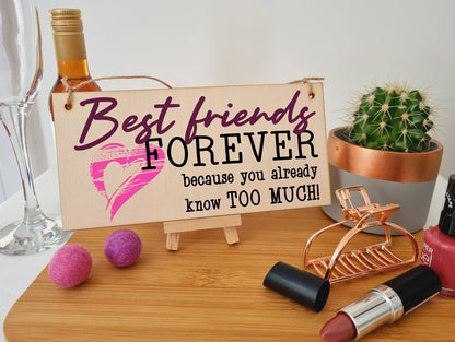 The Plum Penguin Best Friends Forever Know Too Much Funny Handmade Wooden Hanging Wall Plaque Decoration Gift BFF Bestie Friendship