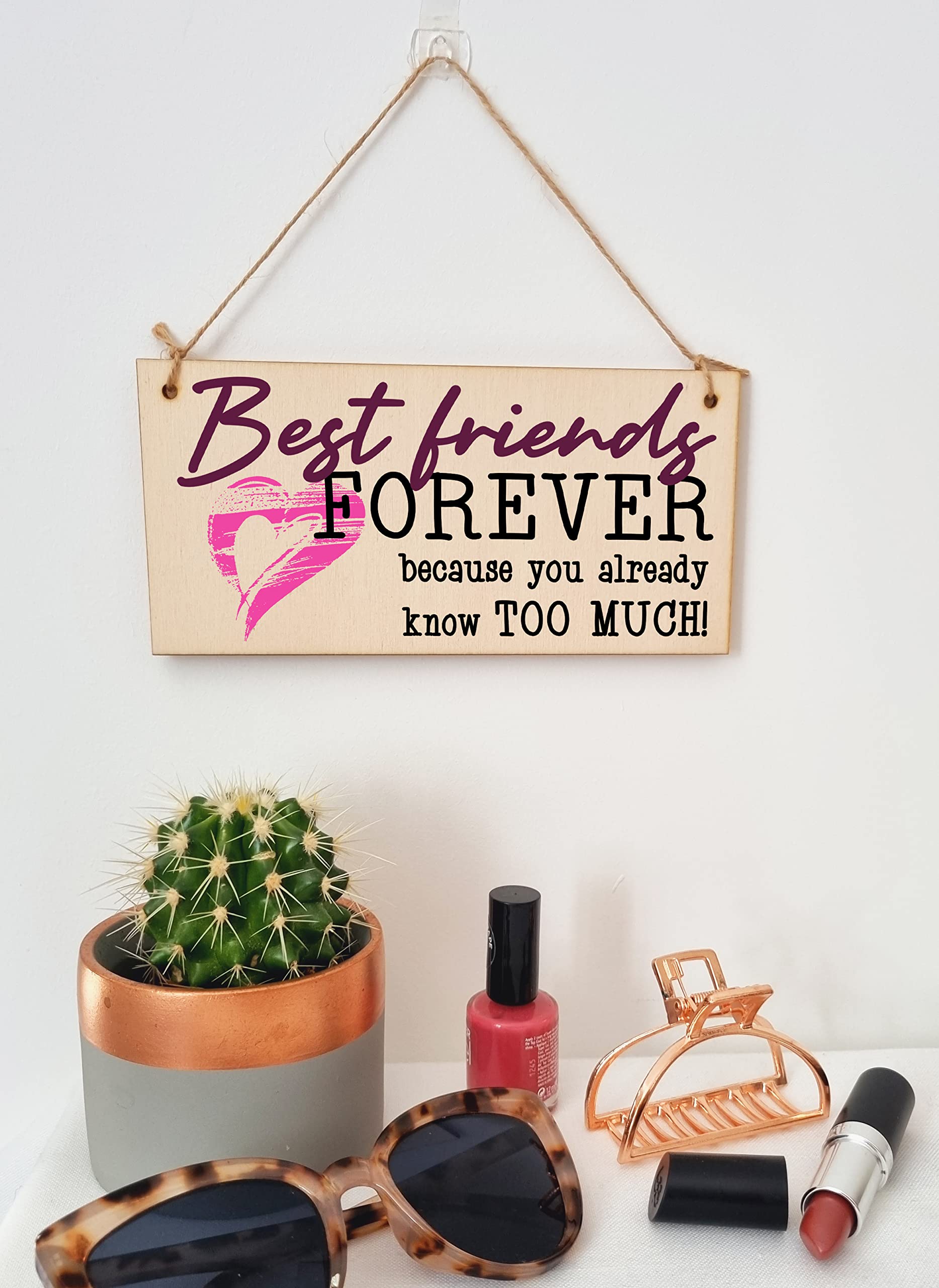 The Plum Penguin Best Friends Forever Know Too Much Funny Handmade Wooden Hanging Wall Plaque Decoration Gift BFF Bestie Friendship