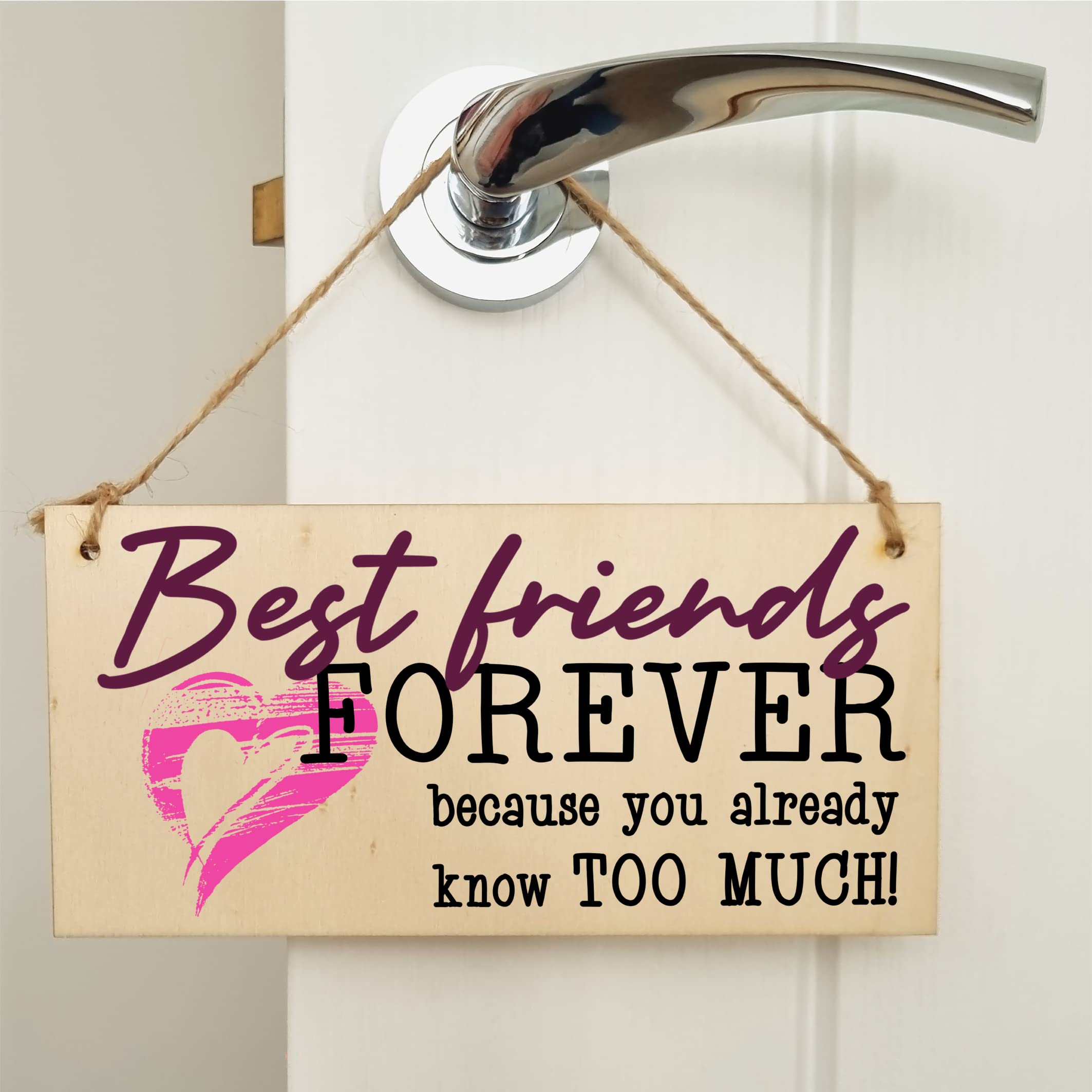The Plum Penguin Best Friends Forever Know Too Much Funny Handmade Wooden Hanging Wall Plaque Decoration Gift BFF Bestie Friendship