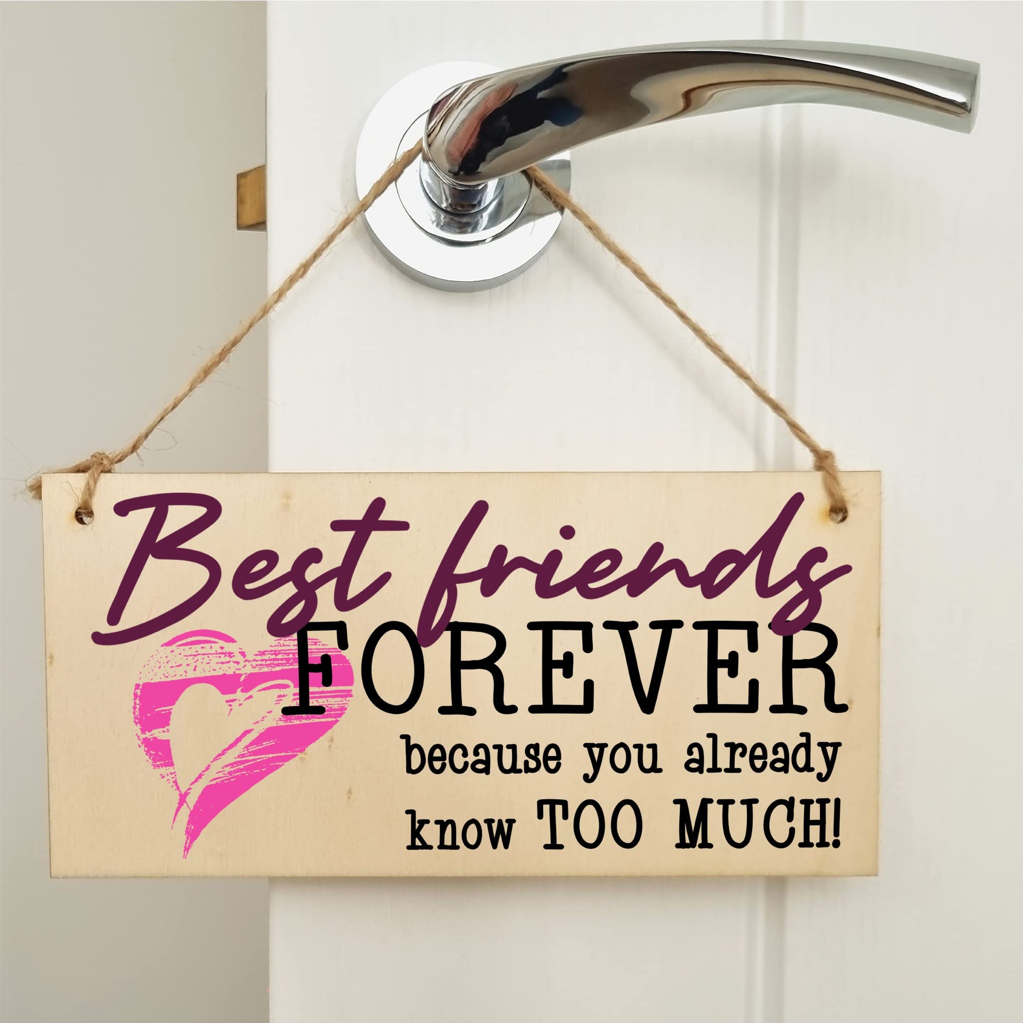 The Plum Penguin Best Friends Forever Know Too Much Funny Handmade Wooden Hanging Wall Plaque Decoration Gift BFF Bestie Friendship