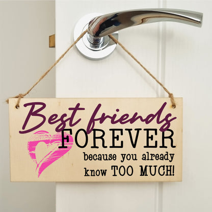 The Plum Penguin Best Friends Forever Know Too Much Funny Handmade Wooden Hanging Wall Plaque Decoration Gift BFF Bestie Friendship