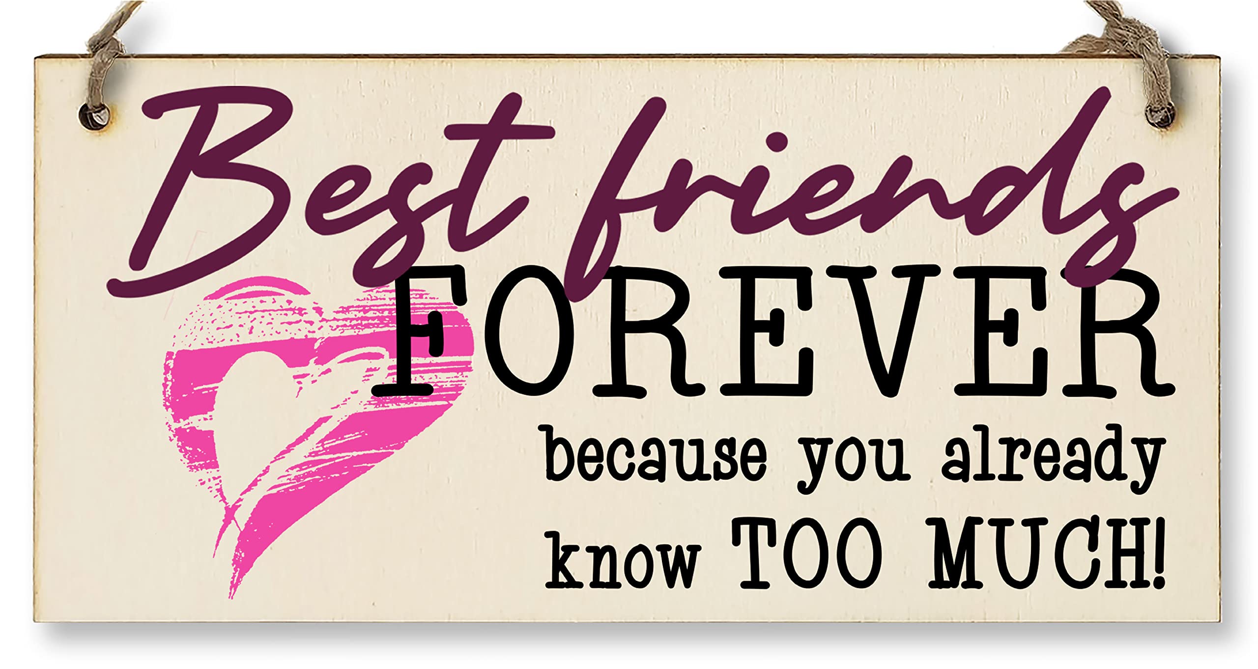 The Plum Penguin Best Friends Forever Know Too Much Funny Handmade Wooden Hanging Wall Plaque Decoration Gift BFF Bestie Friendship