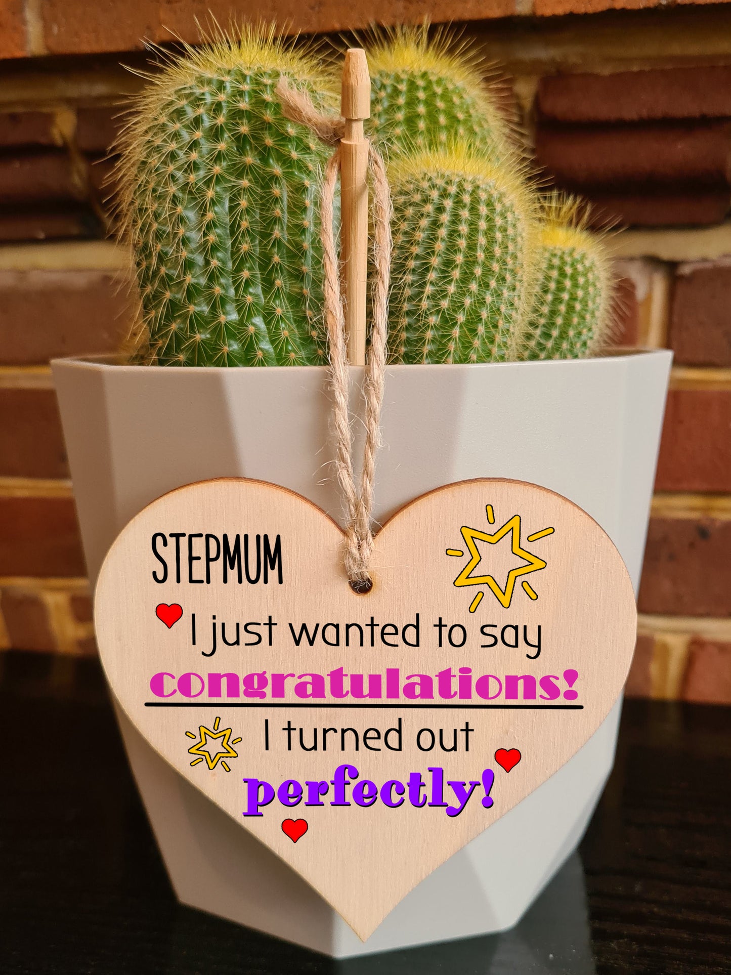 Handmade Wooden Hanging Heart Plaque Mother's Day Gift perfect for Stepmum novelty funny keepsake Congratulations I turned out perfect from daughter son children novelty card alternative